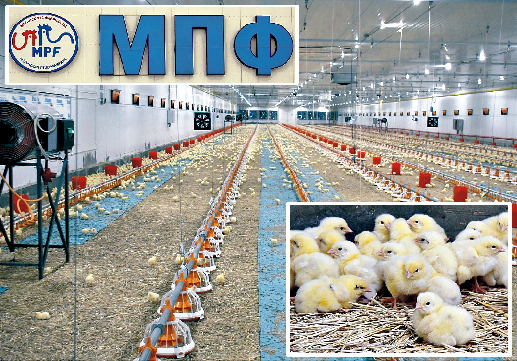 Монтаж потолочных сэндвич-панелей Макинская птицефабрика Казахстан